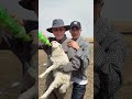 MIKA 米卡 - travel with Dad in Inner Mongolia