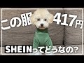 【安い！】犬服を今話題の通販で爆買いしてみた【トイプードル】