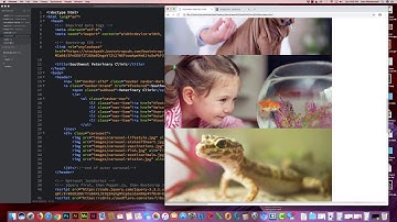 Creating A Single Page Site Bootstrap 4