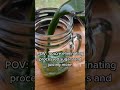 Fresh juice is the best #juicingrecipes #healthylifestyle #healthy #2023 #ninjajuicer #ninja