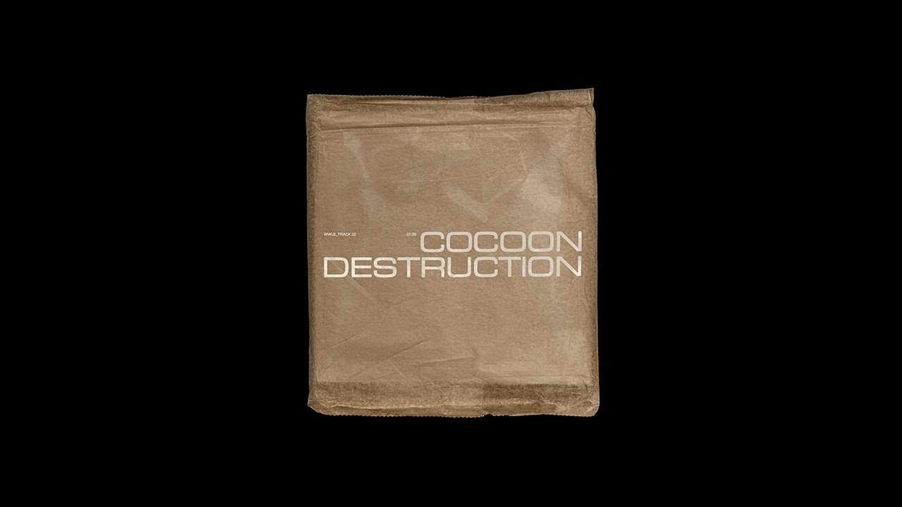 Cocoon - Destruction (Visualizer) - YouTube