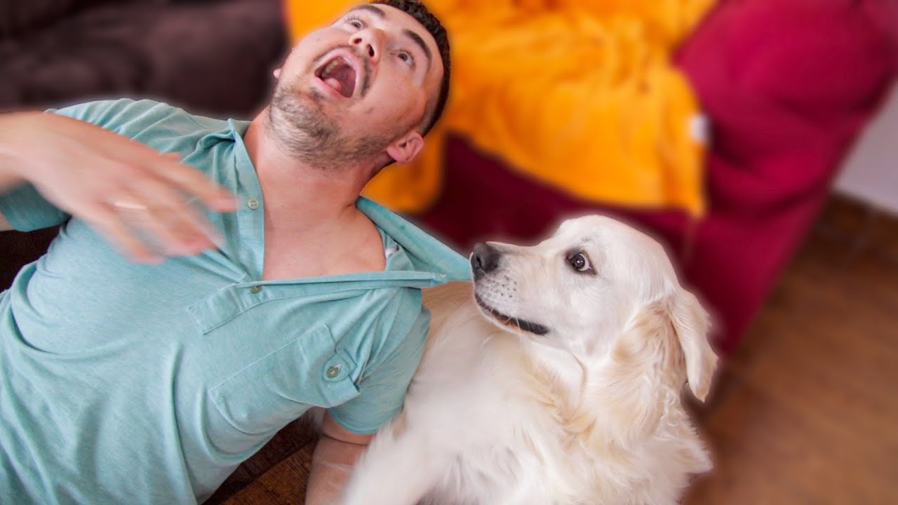 Reaction of my dog when I try to kiss him [TRY NOT TO LAUGH]