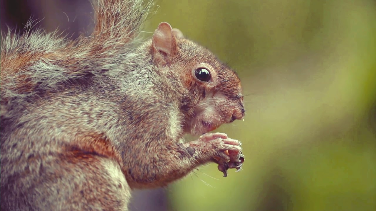 GreenWood Family Park February Half Term 2019