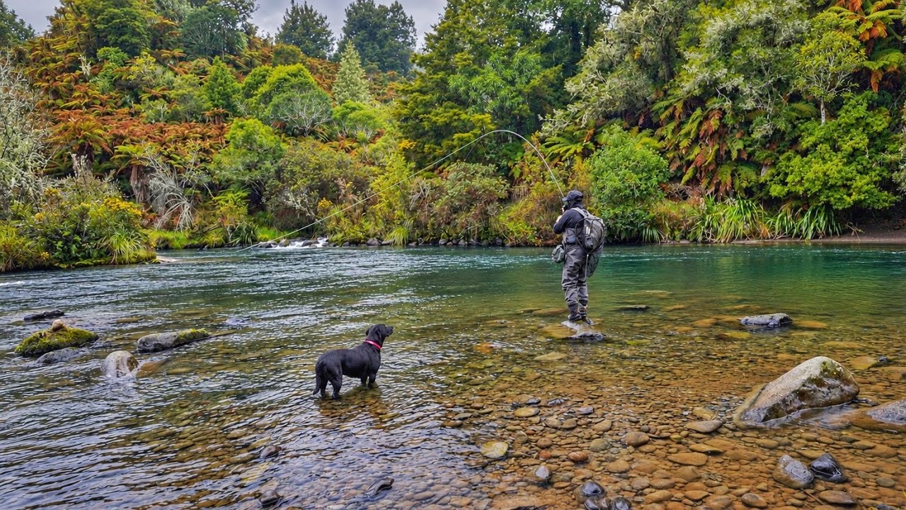 NZ Trout Fishing Opening Day | Remote Backcountry River. 