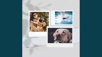 Pulsating Backdrops for Sleepy Puppy