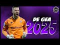 David De Gea 2024 25 Icon Class Impossible Saves Best Skills FHD