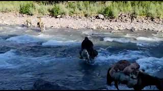 По речке Малыр Along the river Malyr