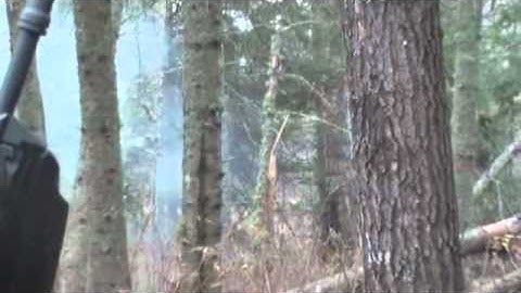 Knocking down trees with explosive targets