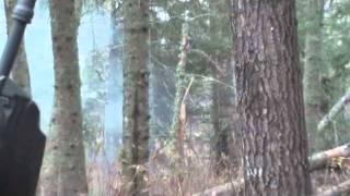 Knocking down trees with explosive targets