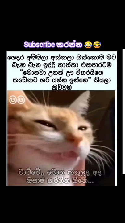 චාච්චේ මොන කකුල ද අද මසාජ් කරන්න තියෙන්නේ 😂🤣😅