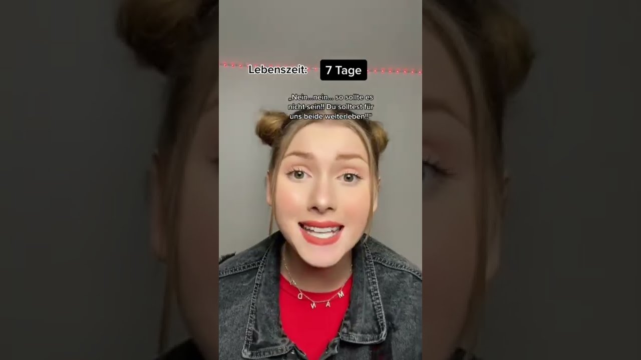 PART 2 POV Jeder Bekommt Lebenszeit Insta Mandyhess Pov Viralshorts Viral Shorts
