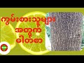 ကွမ်းစားသူများ အတွက် ဓာတ်စာ