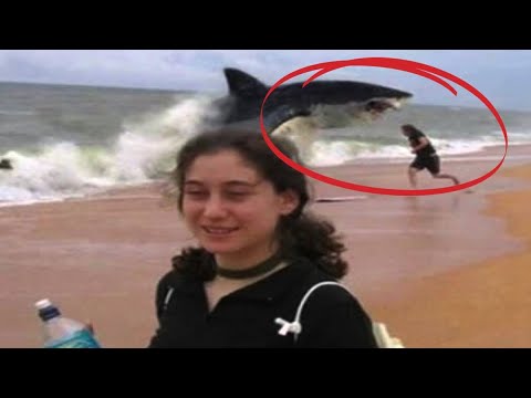 Download 10 Shark Attacks You Won’t Believe