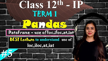 TERM 1 - Class 12 IP | Complete Syllabus | Pandas - use of loc,iloc,at,iat | Lovejeet Arora |PART 6|