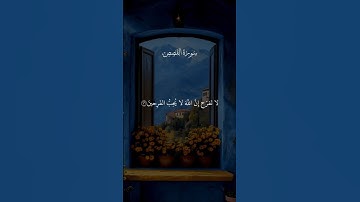 قران كريم راحه نفسيه 🤍🌺سورة القصص #اكتب_شي_تؤجر_عليه #تلاوة_خاشعة #quran_alkarim #صلي_علي_رسول_الله