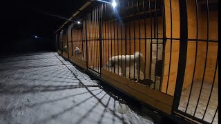 видео: Лайки встаём/Кухня едет/ картинка: Лайки встаём/Кухня едет/