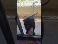 بيرجو زعلان وانا مخاصمه