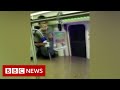 New video by BBC News on YouTube