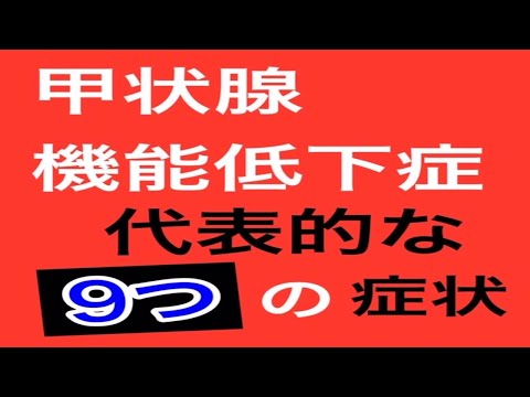 【甲状腺機能低下症　症状　サイン】甲状腺機能低下症の代表的な9つの症状とは！？【甲状腺疾患専門　整体 秋田市】