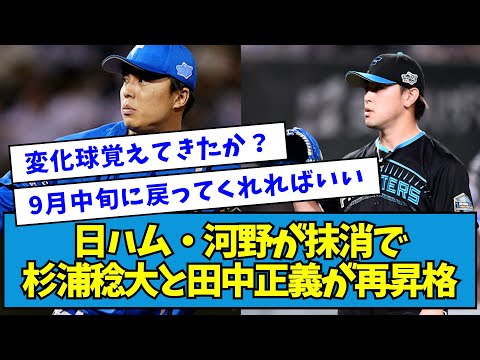 【休んでね】日ハム・河野竜生が抹消で杉浦稔大と田中正義が再昇格【なんJ反応】