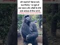 zindagi aur carrier 🤡 #shorts #funny