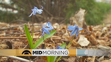 Meteorological Vs. Astronomical Seasons