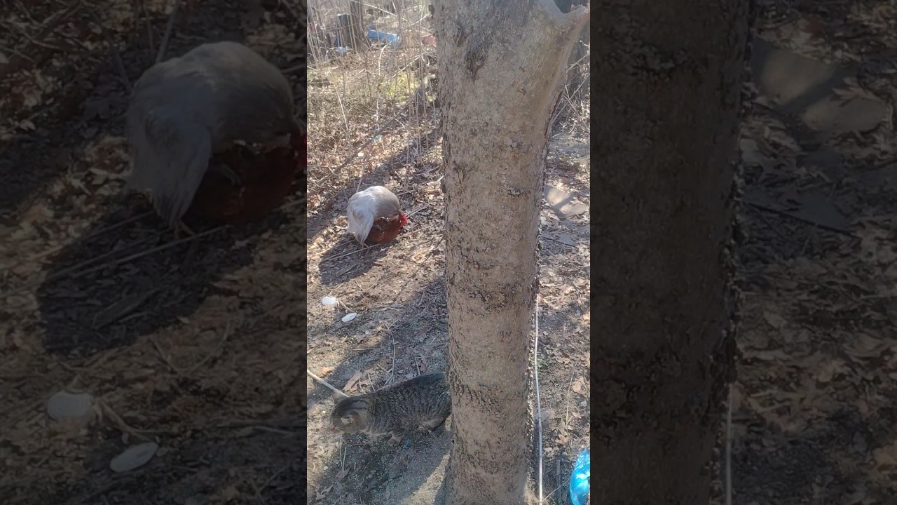 ПРЕКРАТИ ЖАЛОВАТЬСЯ, СТАРИК! 