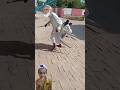 Modi Baba Ka Gussa🤯 ~ Funny Video 🤣😂 ~ Modi Funny Video ~ Comedy Video ~ #viral #shorts #funny