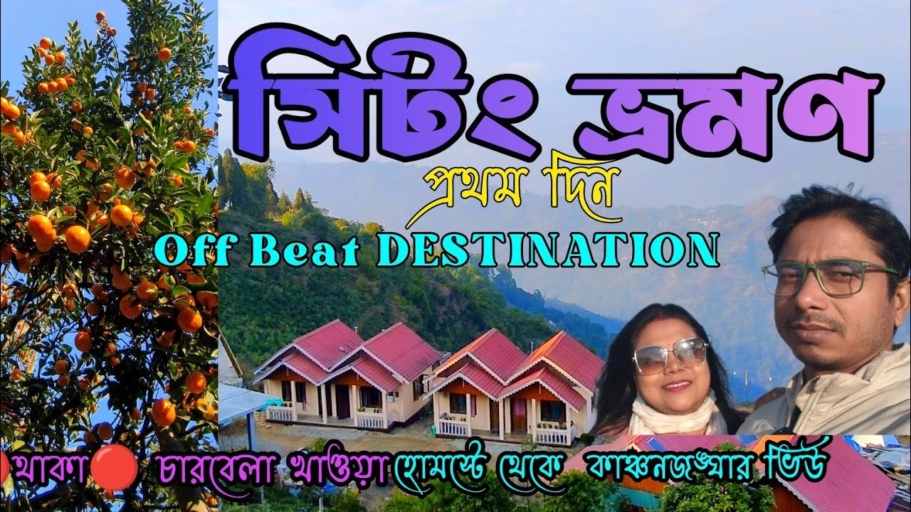 মন ভরে কমলা লেবু,কাঞ্চনজঙ্ঘা দেখে আসুন।SITONG TOURIST SPOT।SITONG TOUR GUIDE।North Bengal off Beat 
