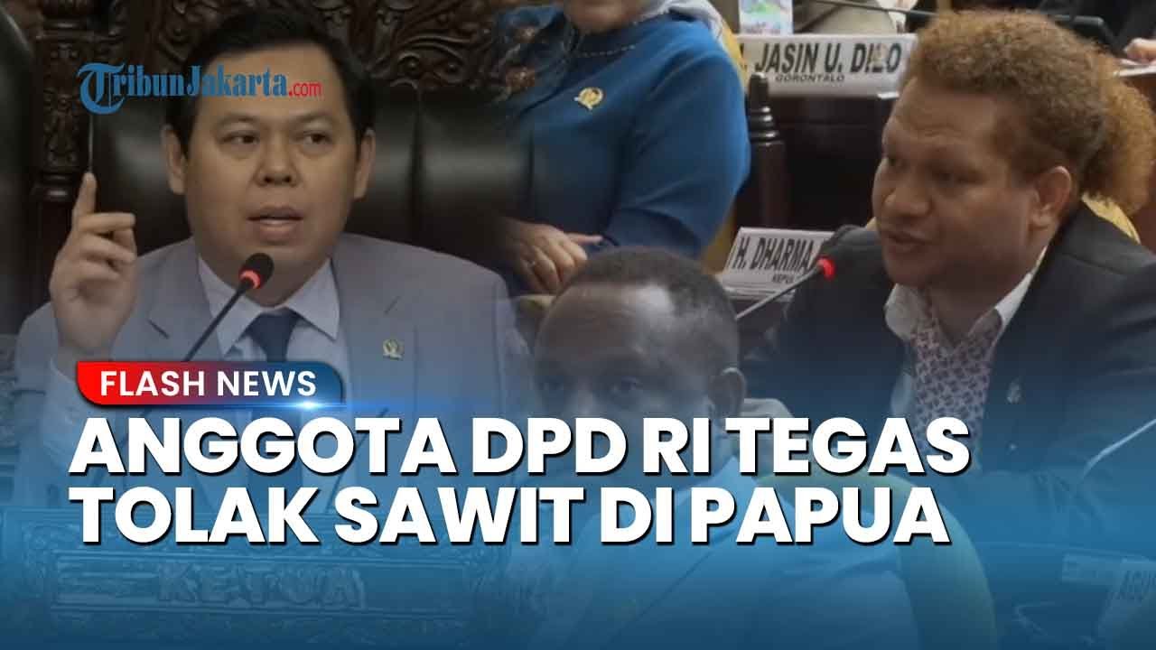 Senggol Nama Bahlil, Anggota DPD RI Paul Finsen Tegas Menolak Rencana Sawit di Papua