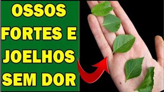 A folha que eu jogava fora mudou minha saúde aos 75 anos!!! 