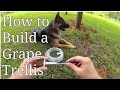 How to Build a Grape Trellis How to Build a Grape Trellis