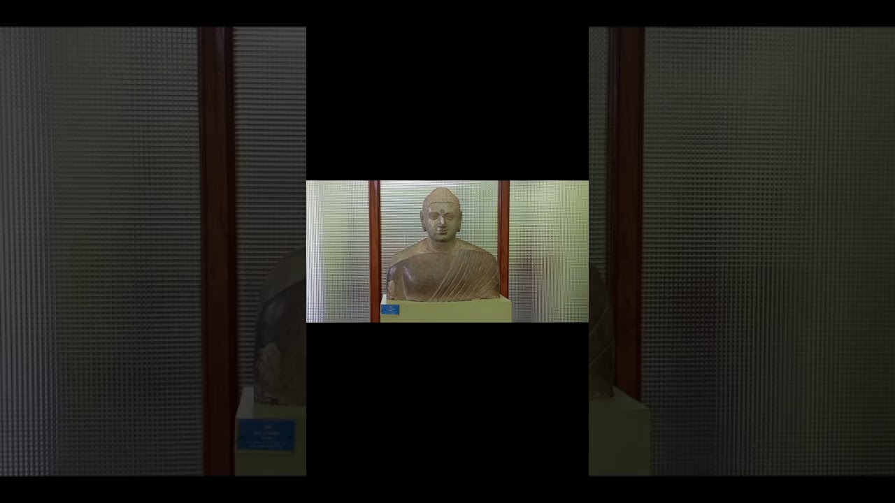 Nagarjuna Sagar Museum# Shorts# ytshorts