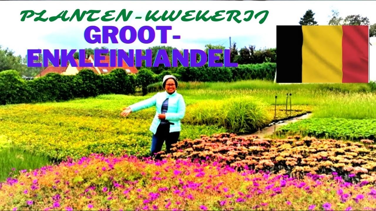 Kliniek vonk Ziekte Planten-Kwekerij (Plant Nursery) Farm Tour #groot-enkleinhandel (wholesale  and Retail), Belgium - YouTube