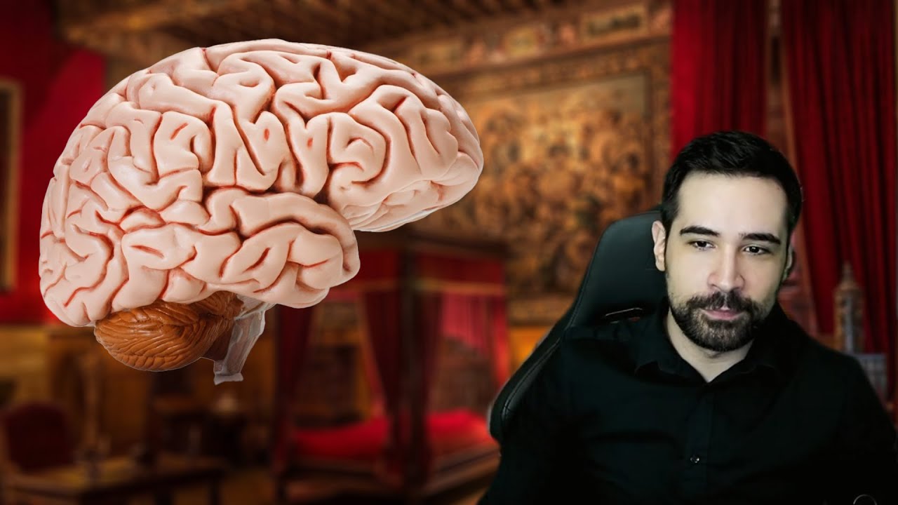 ევოლუცია, ინტელექტი, ნეოკორტექსი და ლიმბური სისტემა-ნიკო სვანიძე
