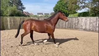 31c39b57 725e 4999 82ab 1f4fcefb4f70