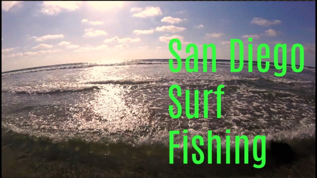 San Diego Surf Fishing YouTube