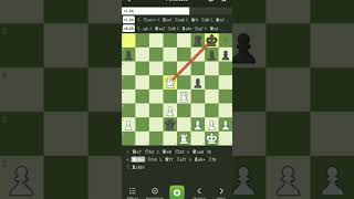 blunder + briliant #meme #chess #edit