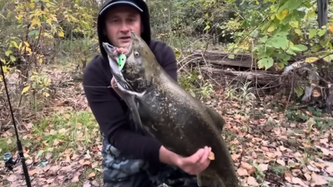 Рыбалка ЛОСОСЯ! 🎣ПОШЛИ ОДНИ САМОЧКИ! 