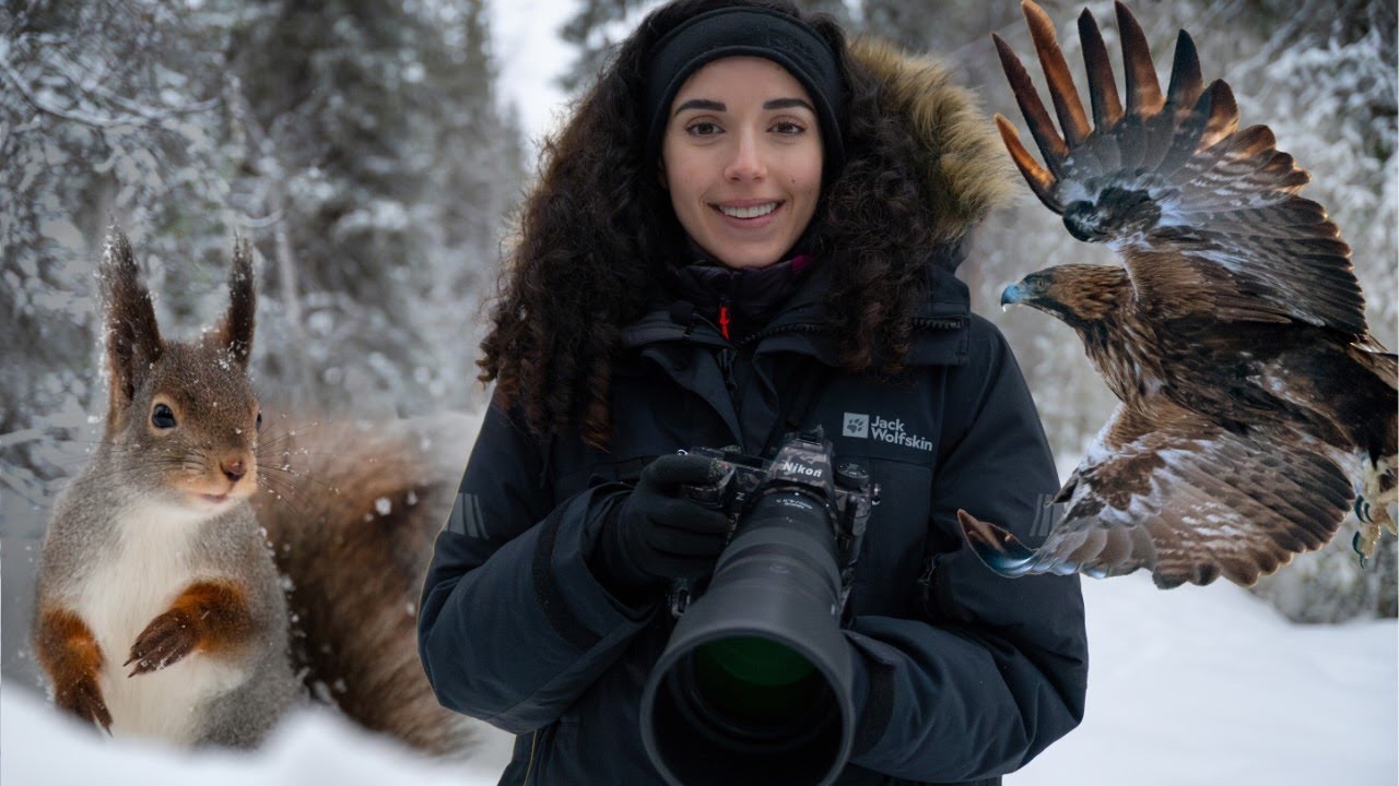 Winter in Swedish Lapland (Sapmi) | Wildlife Photography, Husky Dog Sledding, and Polar Clouds