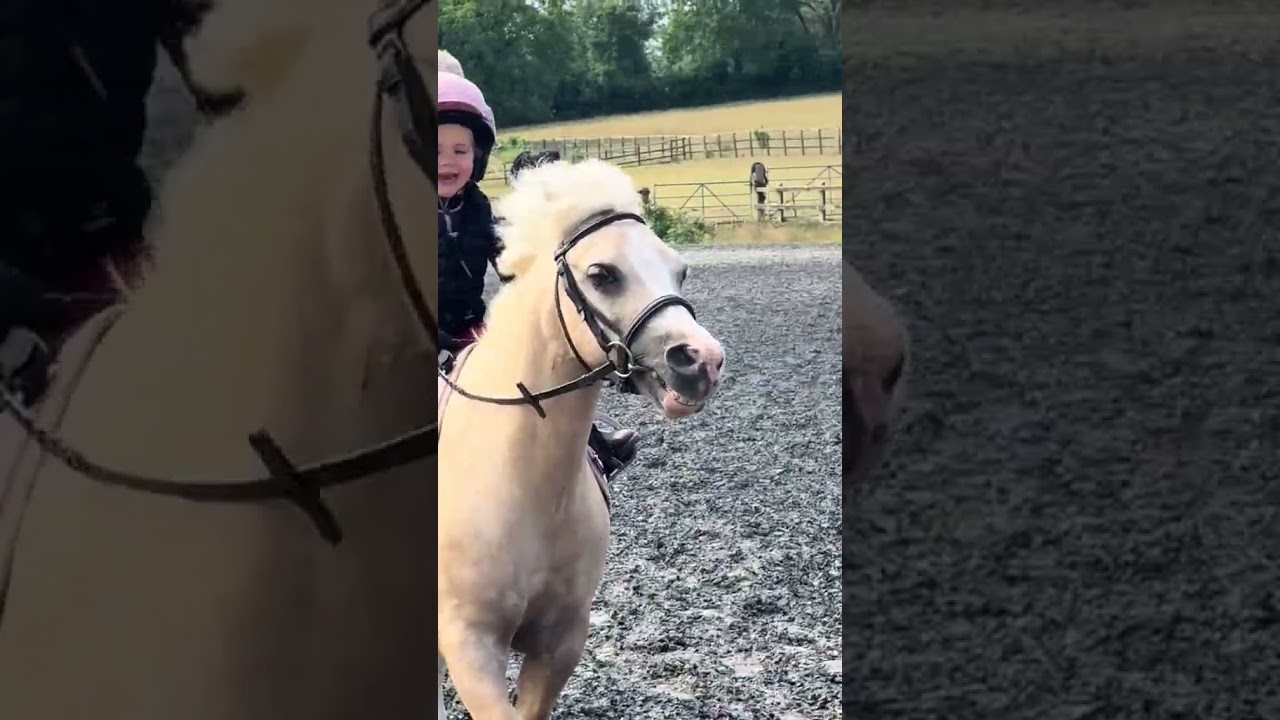 Almost forgot this is the whole point ❤️ 