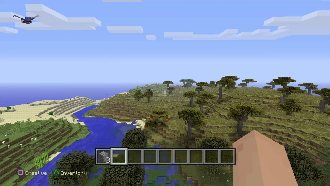 Minecraft: PlayStation®4 Edition tunnel