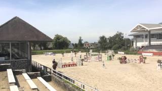 Beerbaum de troteval 3eme tour qualif 4 ans St Lo (50)