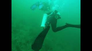 Hunting lionfish in Destin 