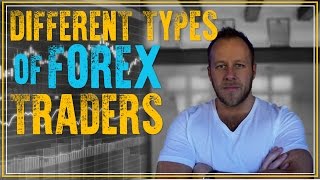 FOREX TRADING - Different Types of Traders