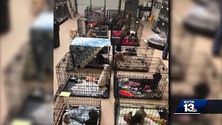 Tuscaloosa shelter overwhelmed with return of foster pets