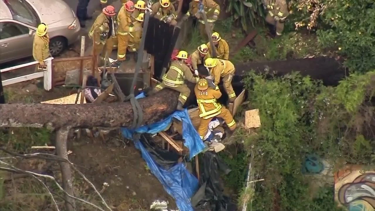 Man rescued from beneath tree that fell in storm - YouTube