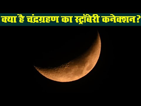 Lunar Eclipse 2020: चांद की चांदनी होगी धुंधली, जानिए ग्रहण का स्ट्रॉबेरी कनेक्शन | Prabhat Khabar