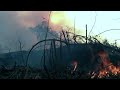 Memrias do fogo brazil 2022  lasa film festival