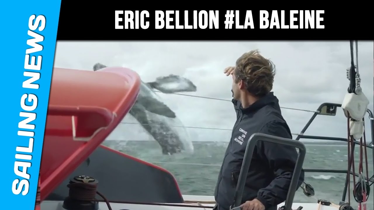 La baleine d'Eric Bellion #COMMEUNSEULHOMME